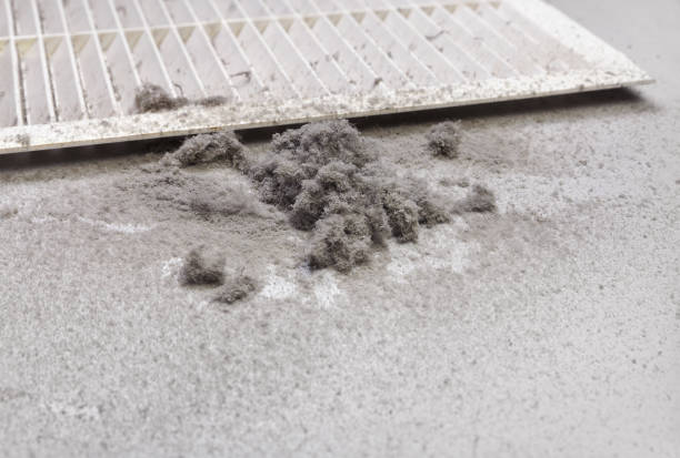 Best HVAC Duct Inspection Services  in Iona, ID